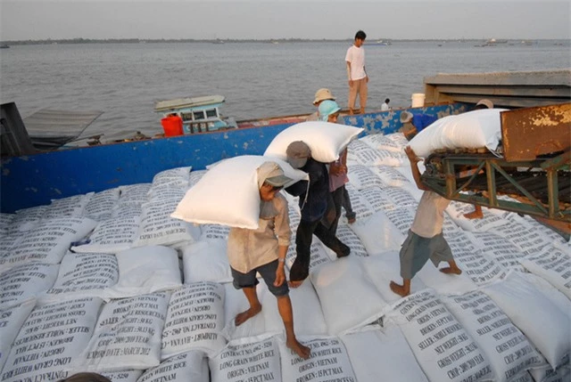 Xuất khẩu gạo Việt Nam vượt mặt Thái Lan  - Ảnh 1.