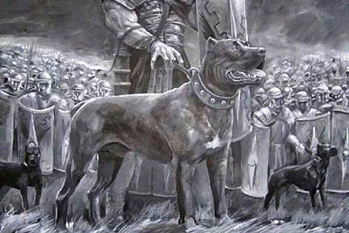 6 đội quân động vật có '1-0-2' trong chiến tranh thời xưa