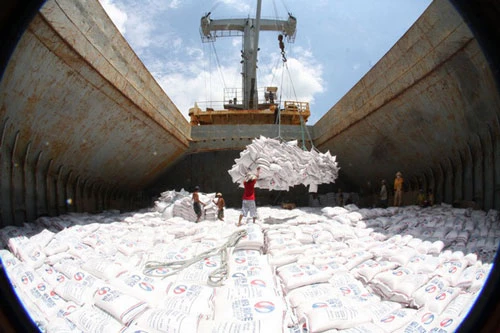 Việt Nam vươn lên vị trí số 2 thế giới về xuất khẩu gạo. (Ảnh: Dân trí)