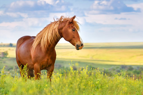 Top 3 con giáp dễ 'cầu được ước thấy', tiền nhiều đếm không xuể trong 40 ngày tới