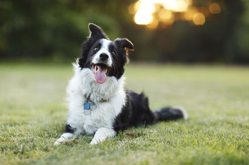 Top 3 con giáp dễ 'đổi đời trúng lớn', giàu có bất ngờ trong cuối năm 2020