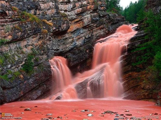 Nước biến thành màu hồng tuyệt đẹp.