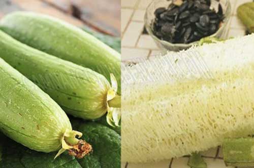 Xơ mướp - thứ tưởng bỏ đi nhưng có tác dụng chữa bệnh "thần kỳ" ít người biết