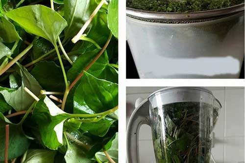 Xay nhuyễn rau diếp cá trộn thứ này để uống, bụng phẳng, dáng thon mà da trắng đẹp ai nhìn cũng khen 'nức nở'
