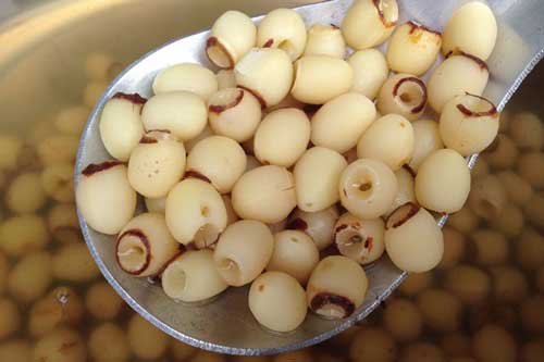 B&#x1EAD;t m&#xED; c&#xF4;ng th&#x1EE9;c t&#x1EF1; tay l&#xE0;m sinh t&#x1ED1; h&#x1EA1;t sen ngon tuy&#x1EC7;t trong m&#xF9;a h&#xE8;