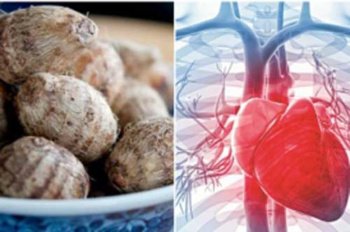 Khoai sọ chính là thần dược cho sức khỏe - ngừa tim mạch giúp bạn thọ lâu cả đời ít ốm đau