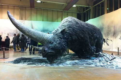 Những hình ảnh khiến bạn nhận ra mình biết quá ít về thế giới này