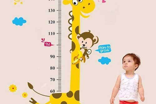 Trẻ lớn lên sẽ cao 1m8 nếu bố mẹ áp dụng 3 nguyên tắc "vàng"