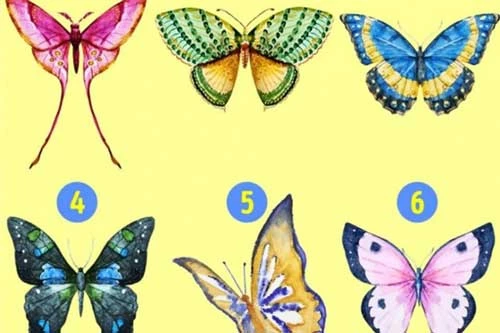 Bạn chọn cánh bướm nào?