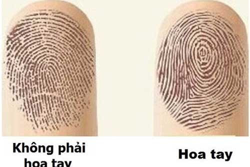 Người có số hoa tay này quý như "kim cương", cuộc đời dễ gặp nhiều may mắn hạnh phúc