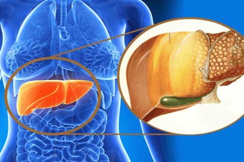 Bàn tay xuất hiện 3 triệu chứng này chứng tỏ gan của bạn đang kêu cứu, hãy đi khám ngay kẻo "hối không kịp"