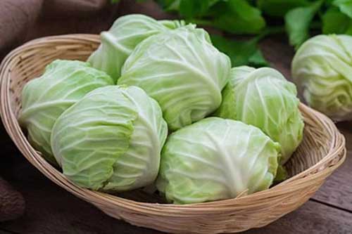 Ăn bắp cải mà phạm phải những đại kỵ này là rước thêm bệnh vào thân, nên bỏ ngay kẻo "hối không kịp"