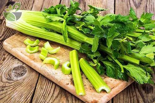 Thường xuyên ăn rau cần tây giúp bạn giảm cân, khỏe mạnh mỗi ngày