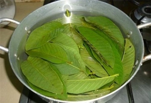 la-oi-tri-hoi-mieng