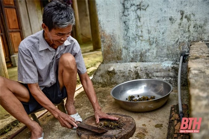 Cựu chiến binh làm giàu từ mô hình nuôi ba ba trong bể xi măng