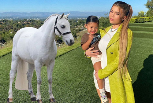 Kylie Jenner tặng con gái ngựa trắng 200.000 USD