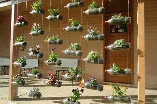 Mãn nhãn với vườn rau bằng lon bia, chai nhựa xanh mướt của chị em