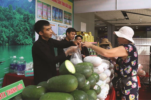 Sản phẩm bí xanh thơm của huyện Ba Bể được giới thiệu, bày bán tại siêu thị ở Hà Nội.