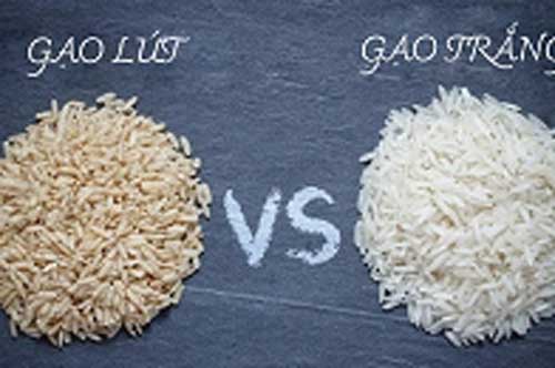 Gạo lứt và gạo trắng: Loại nào tốt hơn cho cơ thể?