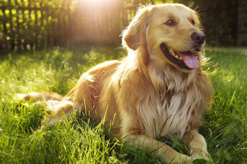 'Hốt sạch lộc trời', 2 con giáp này dễ trúng số độc đắc, tiền nhiều 'không đếm xiết' trong 5 ngày tới