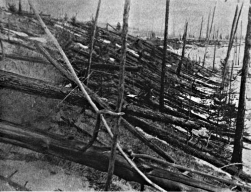 Ảnh chụp năm 1929 cảnh tượng “chết chóc” trong rừng Tunguska dù đã 21 năm sau vụ nổ.