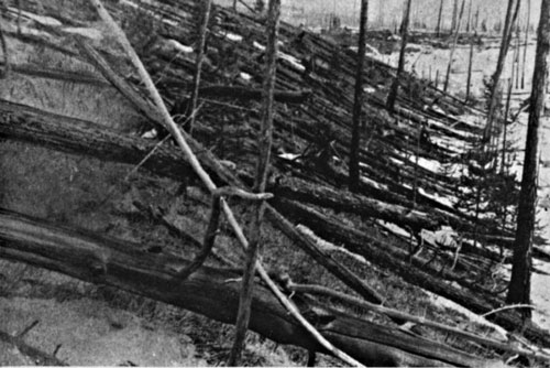 Bí ẩn thế kỷ về vụ nổ 'siêu khủng' xoá sổ 80 triệu cây cối ở Siberia, Nga