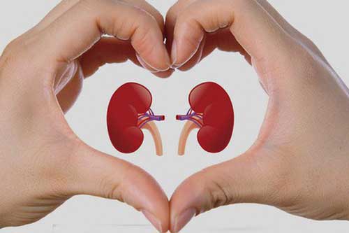 Ngó bàn tay 5 giây: Thấy có 4 dấu hiệu này hãy nghĩ ngay đến lời cảnh báo của thận