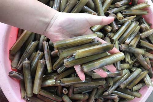 Muốn chọn ốc móng tay "mập ú", chị em hãy làm theo cách này