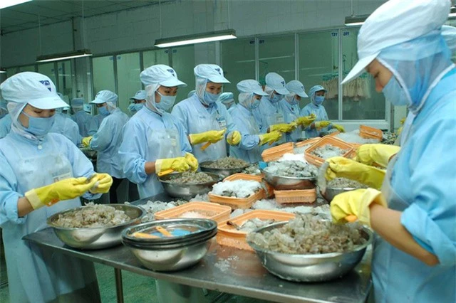 EVFTA là cơ hội khôi phục xuất khẩu hàng Việt sau đại dịch - Ảnh 1.