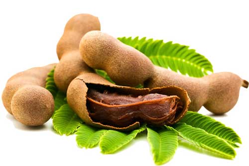 "Thần dược" chữa tiểu đường, ung thư cực kỳ hiệu quả ai cũng ném bỏ