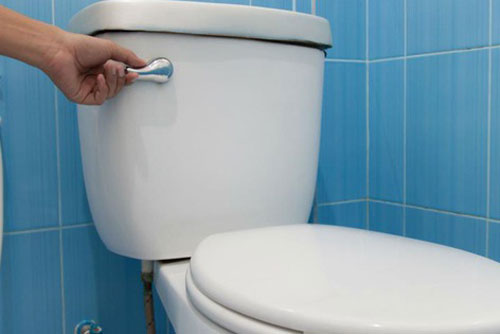 Những lưu ý khi sử dụng nhà vệ sinh công cộng để tránh lây nhiễm virus, vi khuẩn gây bệnh