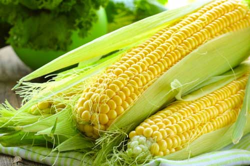 Mỡ bụng biết mất "không dấu tích" nhờ 1 bắp ngô