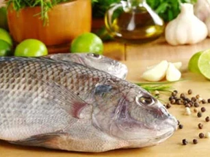 Muốn cá hết sạch mùi tanh bà nội trợ nắm chắc 4 tuyệt chiêu này, món ăn sẽ ngon hoàn hảo