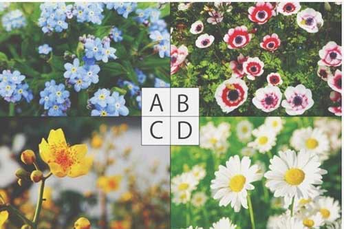 Trắc nghiệm: Trái tim bạn 'lạnh giá' đến mức nào?