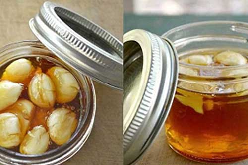 Mật ong ăn cùng thực phẩm này được ví như "tiên dược", phòng ngừa "bách bệnh"