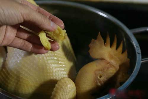 Luộc gà cứ cho thêm 1 nhánh gừng vào nồi, đảm bảo da vàng ruộm giòn - ngọt thịt, giữ nguyên 100% chất bổ