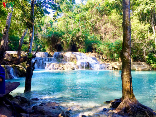 Chiêm ngưỡng vẻ đẹp thác nước trăm tầng của đất nước triệu voi