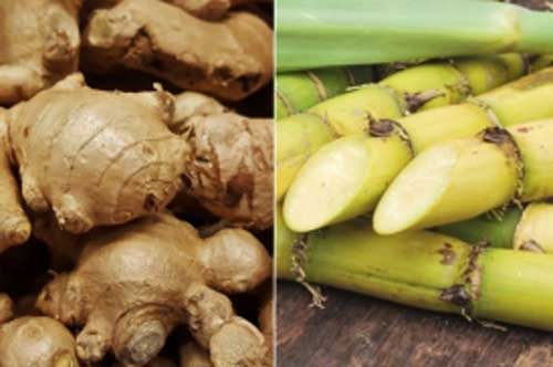 Kết hợp gừng với những thực phẩm này tốt hơn "vạn lần thuốc bổ" nhưng ít người biết đến