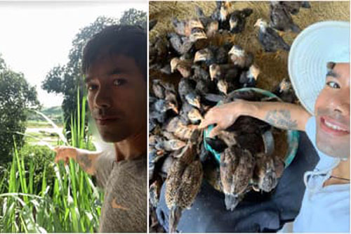 Ya Suy bị nhiều người cười khinh khi là ca sĩ nổi tiếng lại về quê nuôi gà, chăn heo