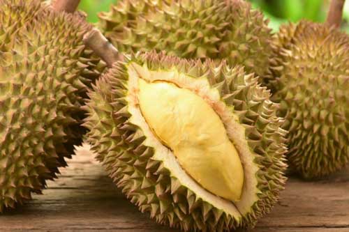 Muốn mua được những quả sầu riêng ngon đừng quên những bí quyết này