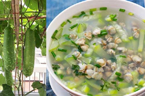 Chỉ với 1 quả bầu sao giá rẻ bèo sẽ có ngay món canh đại bổ cho da, lọc sạch gan thận