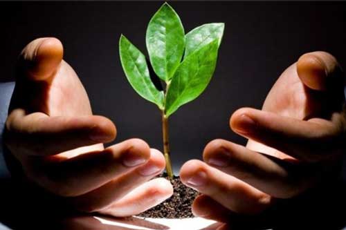 Làm người, đây là 2 chữ nhất định phải đặt lên vị trí hàng đầu