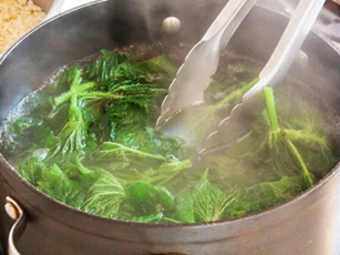 Những sai lầm nghiêm trọng khi luộc rau hại nội tạng bị phá hủy mà nhiều người Việt vẫn vô tư phạm phải