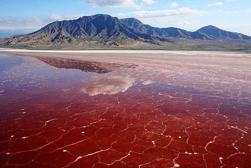 Nước hồ Natron có màu đỏ như máu.