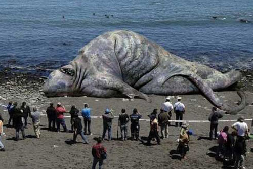 Những quái vật biển gây ám ảnh nhất trong lịch sử