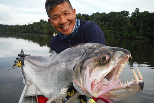 Top 'thủy quái' nước ngọt nguy hiểm nhất hành tinh