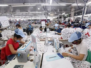 EVFTA có hiệu lực từ ngày 1/8: Tận dụng xuất khẩu ngay