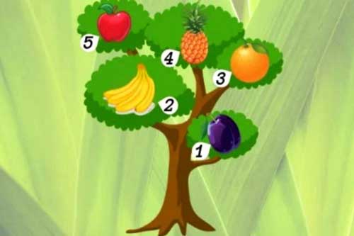 Trắc nghiệm: Cơ hội hiện thực hóa ước mơ của bạn như thế nào?