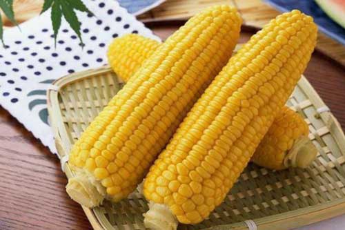 Mỗi ngày một bắp ngô 5.000 đồng giúp giảm cân hiệu quả lại tốt cho hệ hô hấp