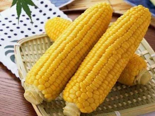 Mỗi ngày một bắp ngô 5.000 đồng giúp giảm cân hiệu quả lại tốt cho hệ hô hấp